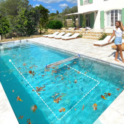 ÉPUISETTE DE SURFACE INNOVANTE PLATYPOOL