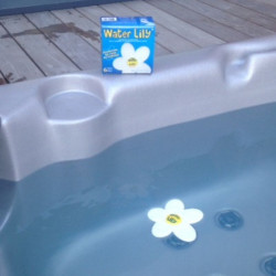 WATER LILY BOITE DE 6 FLEURS