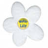 WATER LILY BOITE DE 6 FLEURS