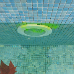 FLUORESCÉINE DE QUALITÉ SUPÉRIEURE EN POT DE 100G