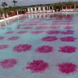 TEST HYDRAULICITÉ - AQUACOULEUR COLORANT ÉPHÉMÈRE - 180ML (6 COLORIS DISPONIBLES)