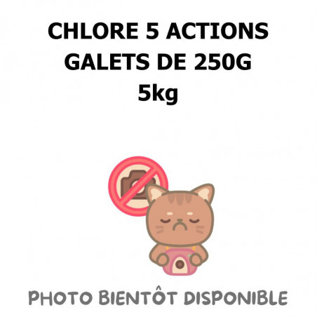 CHLORE 5 ACTIONS GALETS DE 250G - 5kg