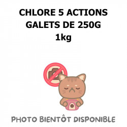 CHLORE 5 ACTIONS GALETS DE 250G - 1kg