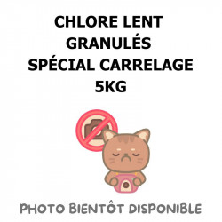CHLORE LENT GRANULÉS SPÉCIAL CARRELAGE - 5KG