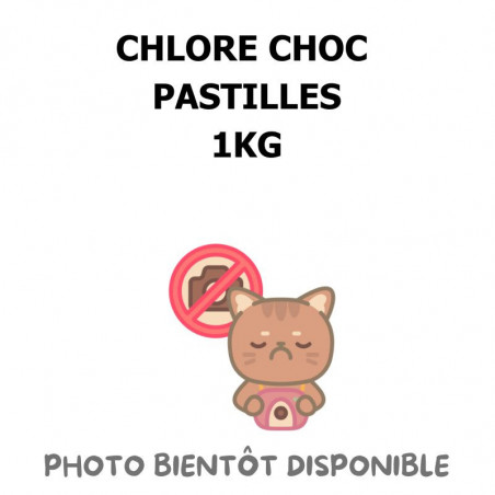 CHLORE CHOC PASTILLES - 1KG
