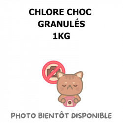CHLORE CHOC GRANULÉS - 1KG