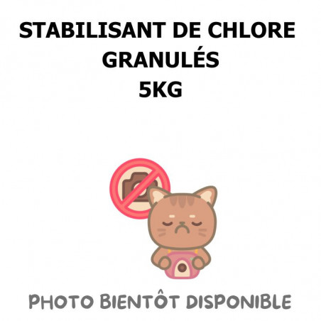STABILISANT DE CHLORE EN GRANULES - 5KG
