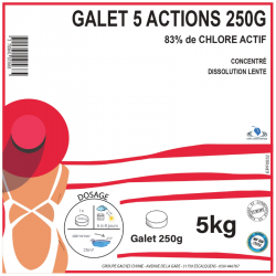 CHLORE 5 ACTIONS GALETS DE 250G - 5kg
