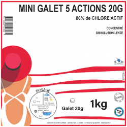 CHLORE 5 ACTIONS PASTILLES DE 20G - 1KG