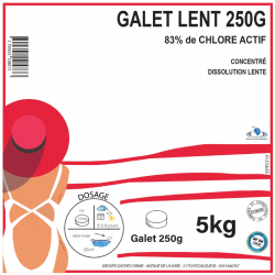 CHLORE LENT GALETS DE 250G - 5kg